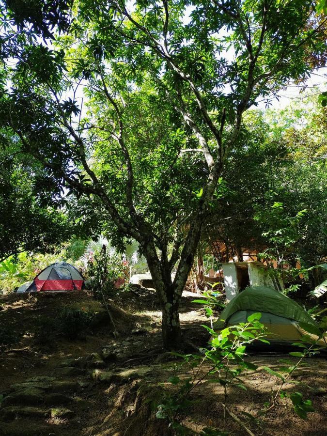 Hostal Dos Quebradas サンタ・マルタ エクステリア 写真